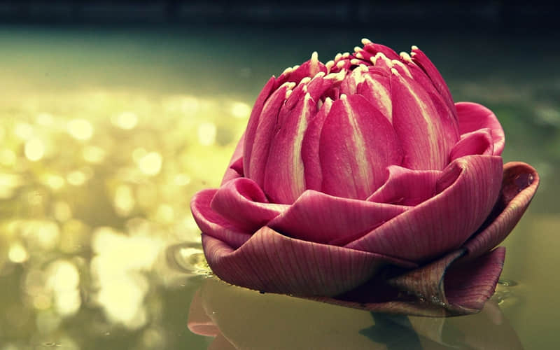 “11月1日,朋友圈这样发,出场即惊艳”_wishdown.com “11月1日,朋友圈这样发,出场即惊艳”_wishdown.com