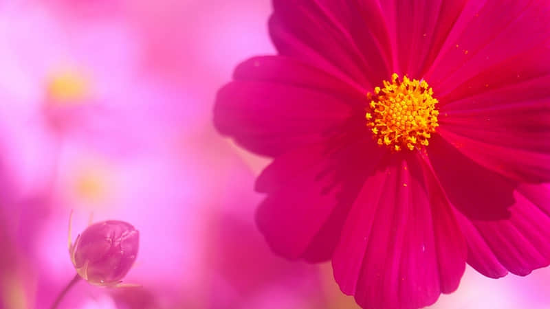 “11月1号今天,朋友圈一定要这样发”_wishdown.com “11月1号今天,朋友圈一定要这样发”_wishdown.com