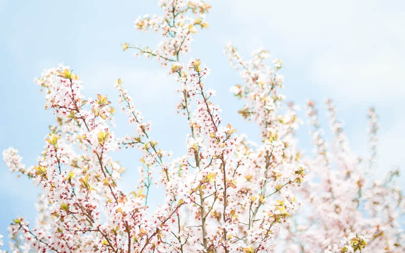 “11月1号今天,朋友圈一定要这样发”_wishdown.com “11月1号今天,朋友圈一定要这样发”_wishdown.com