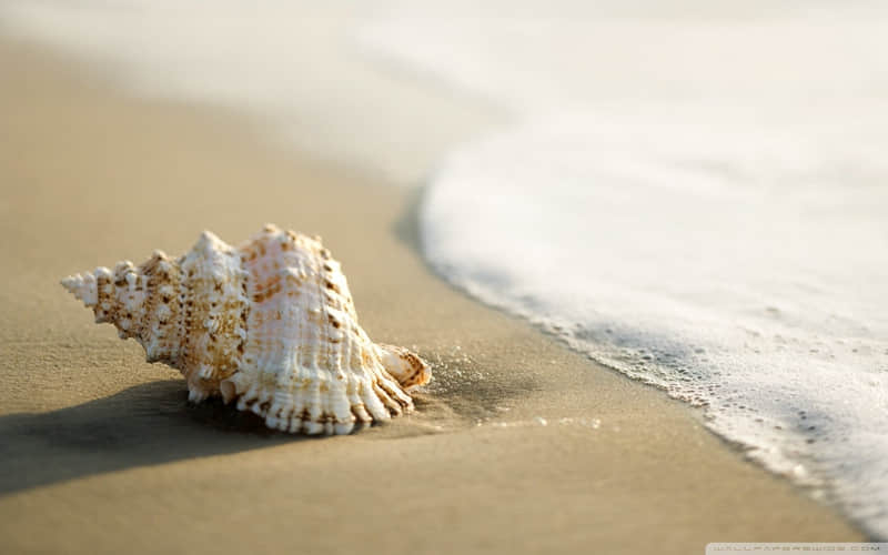 “11月1号今天,朋友圈一定要这样发”_wishdown.com “11月1号今天,朋友圈一定要这样发”_wishdown.com