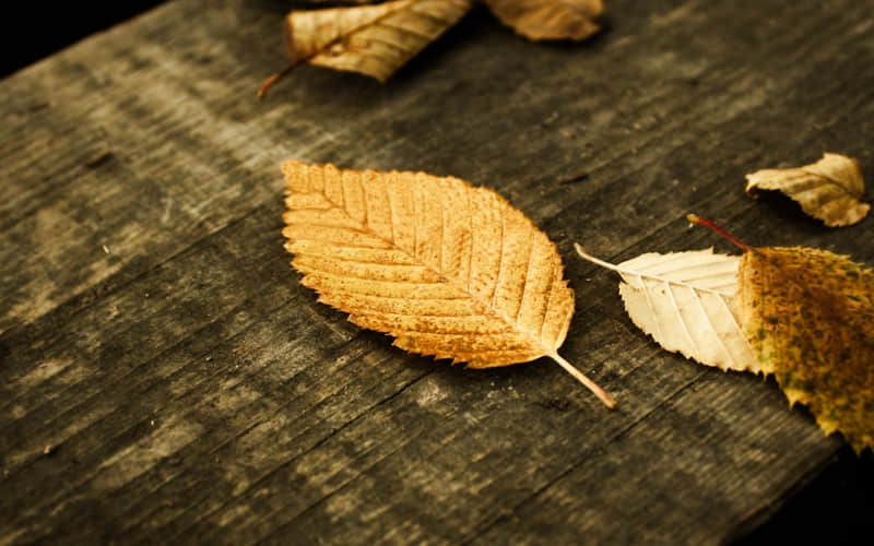 2?2?ʮһ£һ䣬Լ~??