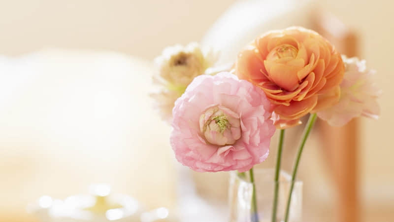 “赌你不敢发朋友圈的文案~”_wishdown.com “赌你不敢发朋友圈的文案~”_wishdown.com