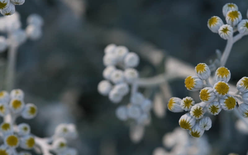 “赌你不敢发朋友圈的文案~”_wishdown.com “赌你不敢发朋友圈的文案~”_wishdown.com