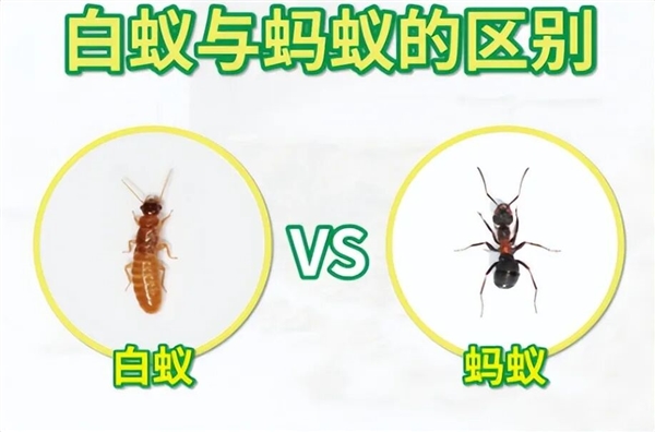 ֵĴϺ Űϡһṹ ˮΨһ