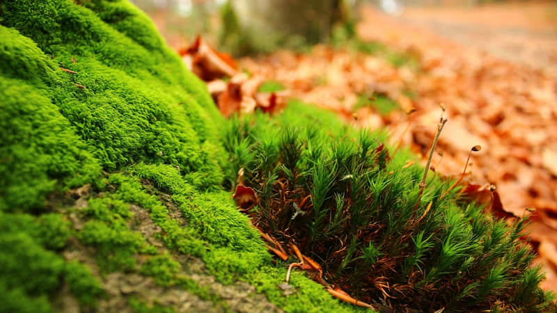 “低调宣布怀孕,这样发笑死朋友圈”_wishdown.com “低调宣布怀孕,这样发笑死朋友圈”_wishdown.com