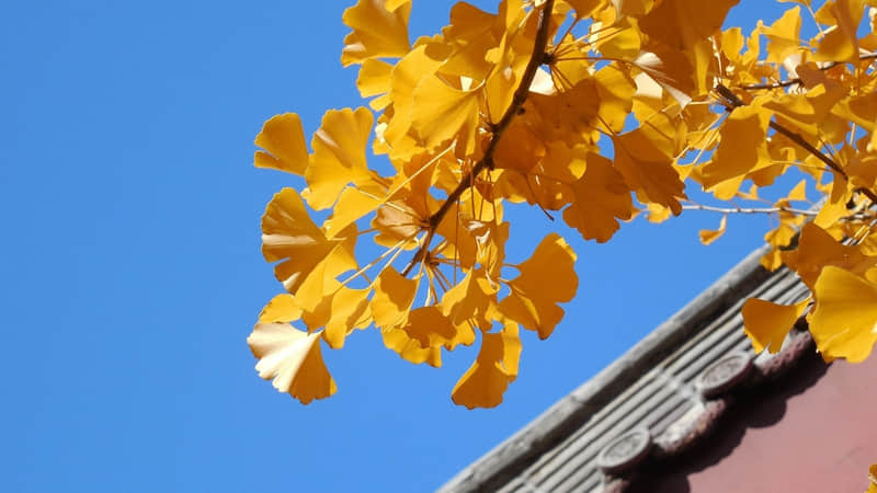 “这样发朋友圈,不矫情,做自己”??_wishdown.com “这样发朋友圈,不矫情,做自己”??_wishdown.com