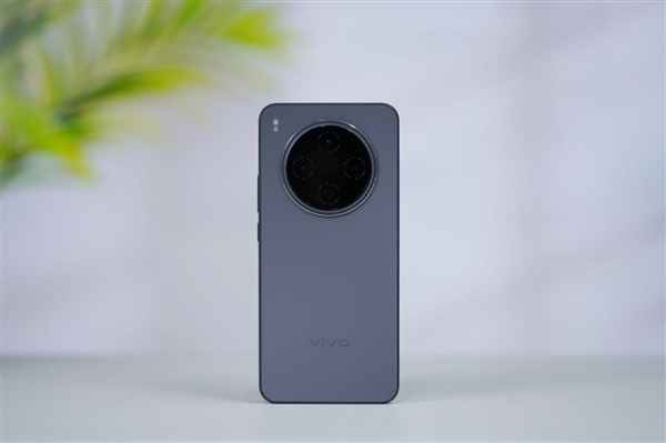 2亿像素旗舰主摄!vivo Y500 Pro图赏_wishdown.com 2亿像素旗舰主摄!vivo Y500 Pro图赏_wishdown.com