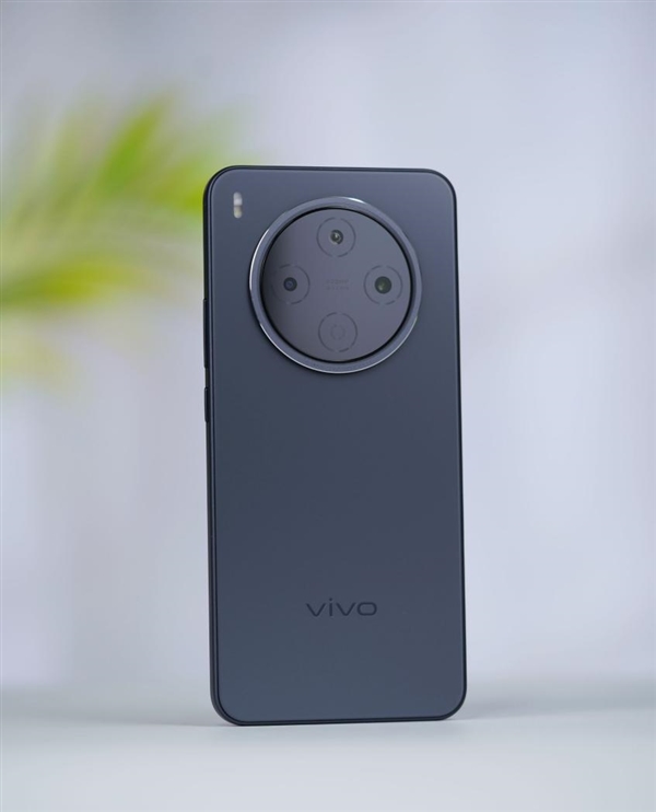 2亿像素旗舰主摄!vivo Y500 Pro图赏_wishdown.com 2亿像素旗舰主摄!vivo Y500 Pro图赏_wishdown.com