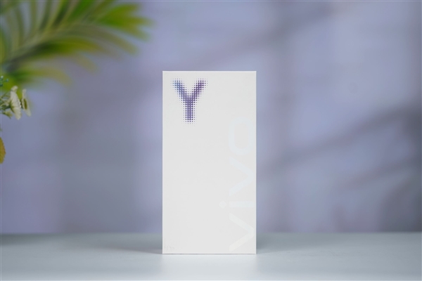 2亿像素旗舰主摄!vivo Y500 Pro图赏_wishdown.com 2亿像素旗舰主摄!vivo Y500 Pro图赏_wishdown.com