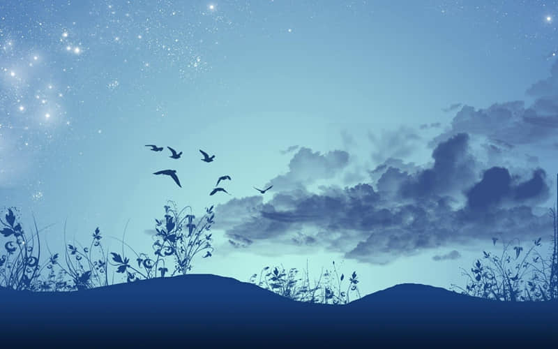 “存起来,心情不好的时候看,笑死朋友圈”_wishdown.com “存起来,心情不好的时候看,笑死朋友圈”_wishdown.com