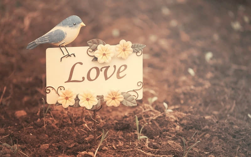 “存起来,心情不好的时候看,笑死朋友圈”_wishdown.com “存起来,心情不好的时候看,笑死朋友圈”_wishdown.com