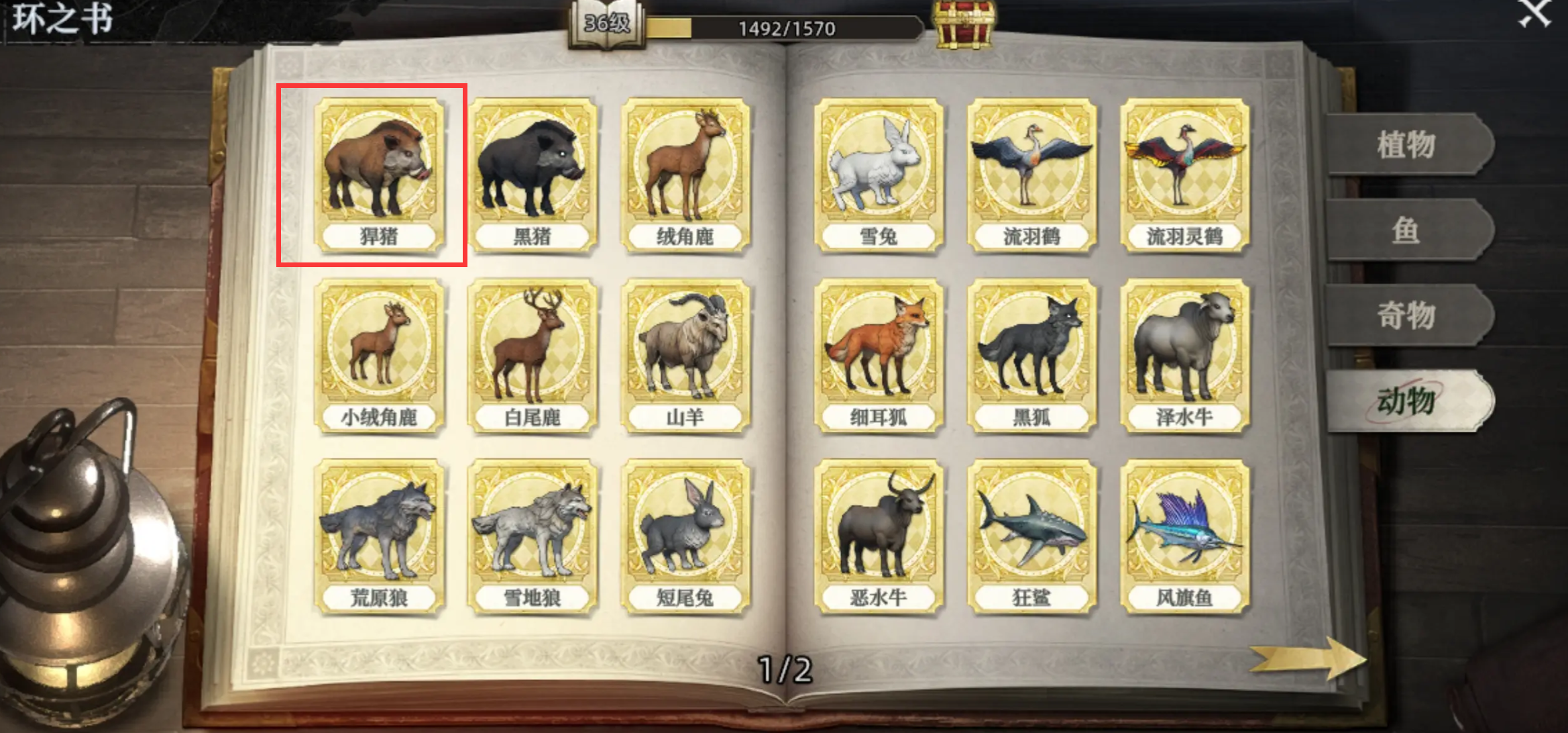 荒原曙光骑野猪怎么获得_wishdown.com 荒原曙光骑野猪怎么获得_wishdown.com