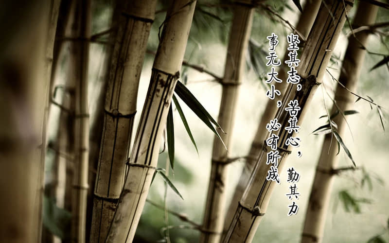 “句句胡说,句句可爱”_wishdown.com “句句胡说,句句可爱”_wishdown.com