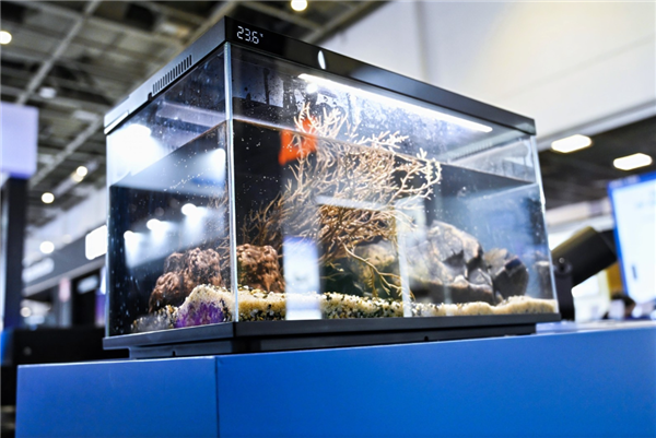 重回巅峰!2025年当贝双十一全周期战报:多品类霸榜_wishdown.com 重回巅峰!2025年当贝双十一全周期战报:多品类霸榜_wishdown.com