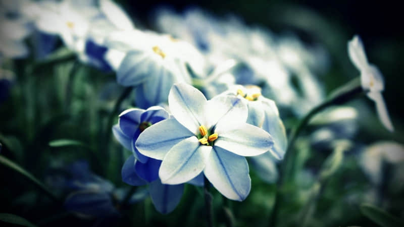 “最近很火,你却还不懂的新梗”_wishdown.com “最近很火,你却还不懂的新梗”_wishdown.com