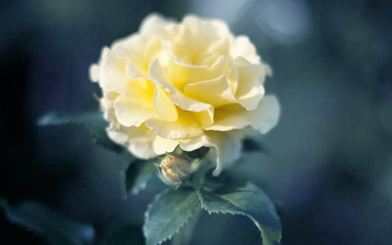 “独而不独的????????????置顶文案”_wishdown.com “独而不独的????????????置顶文案”_wishdown.com