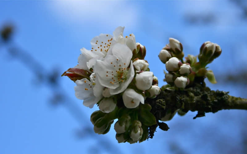 “立冬那天一定要这样发朋友圈,太高级啦”_wishdown.com “立冬那天一定要这样发朋友圈,太高级啦”_wishdown.com