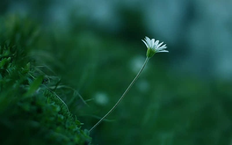 “立冬那天一定要这样发朋友圈,太高级啦”_wishdown.com “立冬那天一定要这样发朋友圈,太高级啦”_wishdown.com