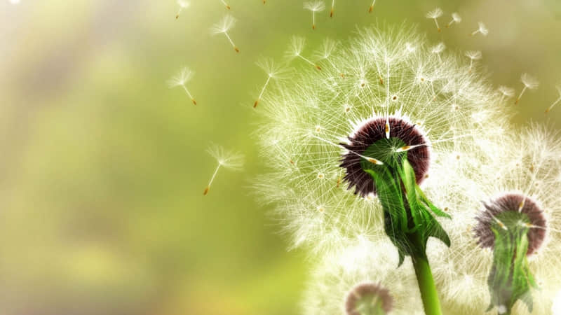 命运的温柔,不过是在人海里,让我刚好遇见你_wishdown.com 命运的温柔,不过是在人海里,让我刚好遇见你_wishdown.com