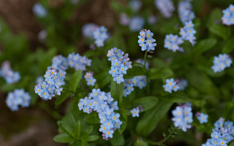 命运的温柔,不过是在人海里,让我刚好遇见你_wishdown.com 命运的温柔,不过是在人海里,让我刚好遇见你_wishdown.com