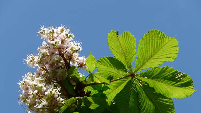 命运的温柔,不过是在人海里,让我刚好遇见你_wishdown.com 命运的温柔,不过是在人海里,让我刚好遇见你_wishdown.com