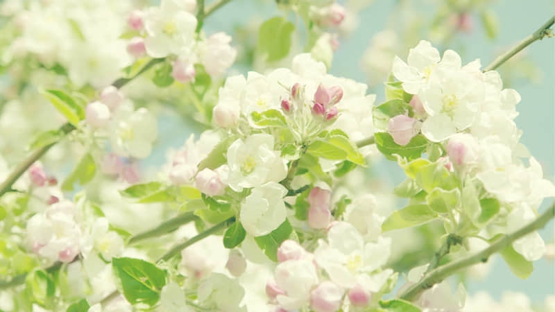 “女人最高级的朋友圈:活成自己的风水”_wishdown.com “女人最高级的朋友圈:活成自己的风水”_wishdown.com