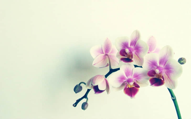 “11月7号立冬这天,朋友圈一定要这样发”_wishdown.com “11月7号立冬这天,朋友圈一定要这样发”_wishdown.com