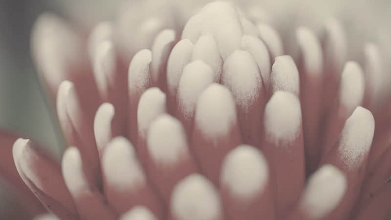 “11月7号立冬这天,朋友圈一定要这样发”_wishdown.com “11月7号立冬这天,朋友圈一定要这样发”_wishdown.com