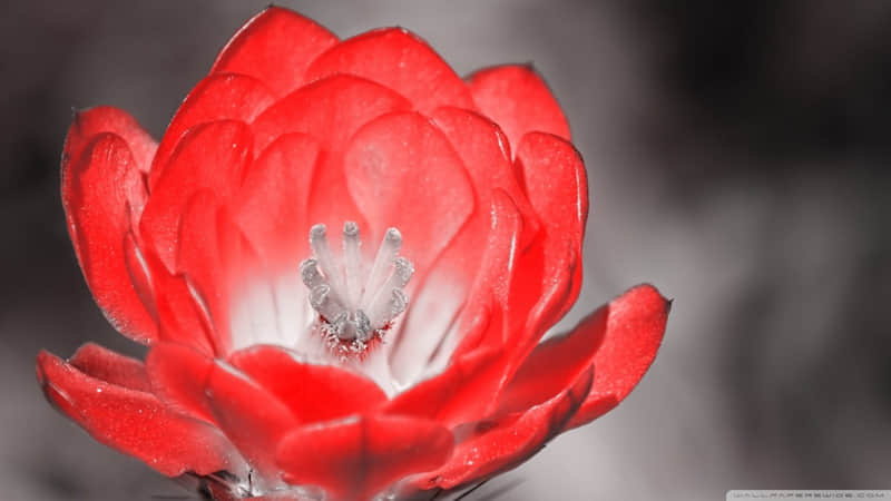 “11月7号立冬这天,朋友圈一定要这样发”_wishdown.com “11月7号立冬这天,朋友圈一定要这样发”_wishdown.com