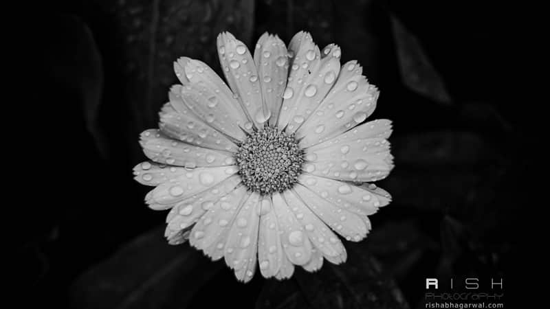 11月7号立冬,这样发朋友圈,太高级了!”_wishdown.com 11月7号立冬,这样发朋友圈,太高级了!”_wishdown.com