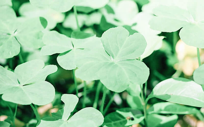 11月7号立冬,这样发朋友圈,太高级了!”_wishdown.com 11月7号立冬,这样发朋友圈,太高级了!”_wishdown.com