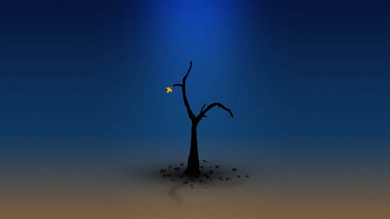 社交悍匪,有意思的开场白!_wishdown.com 社交悍匪,有意思的开场白!_wishdown.com