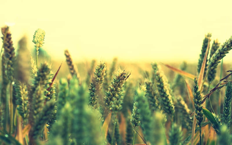 “背下来,吵架你是包赢的?”_wishdown.com “背下来,吵架你是包赢的?”_wishdown.com