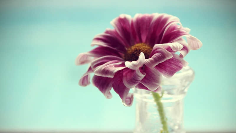 “背下来,吵架你是包赢的?”_wishdown.com “背下来,吵架你是包赢的?”_wishdown.com