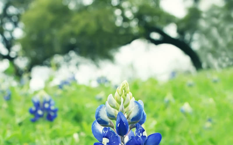 “改个一辈子不换的两字微信昵称??ˋ???ˊ?”_wishdown.com “改个一辈子不换的两字微信昵称??ˋ???ˊ?”_wishdown.com