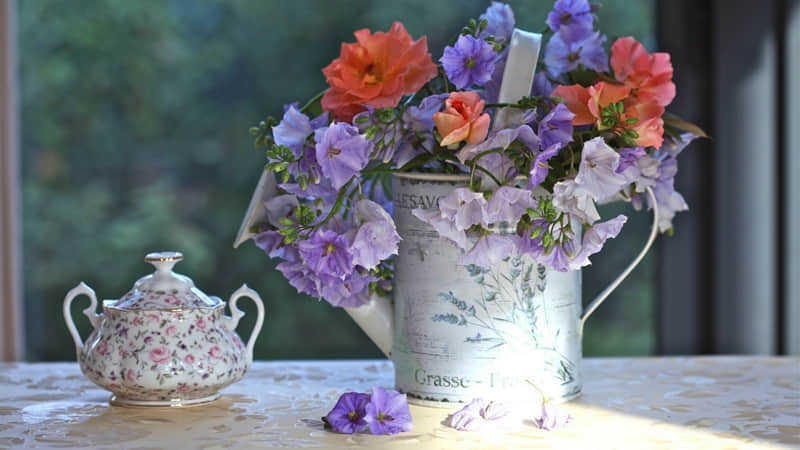 “11月7日立冬,朋友圈一定要这样发”_wishdown.com “11月7日立冬,朋友圈一定要这样发”_wishdown.com