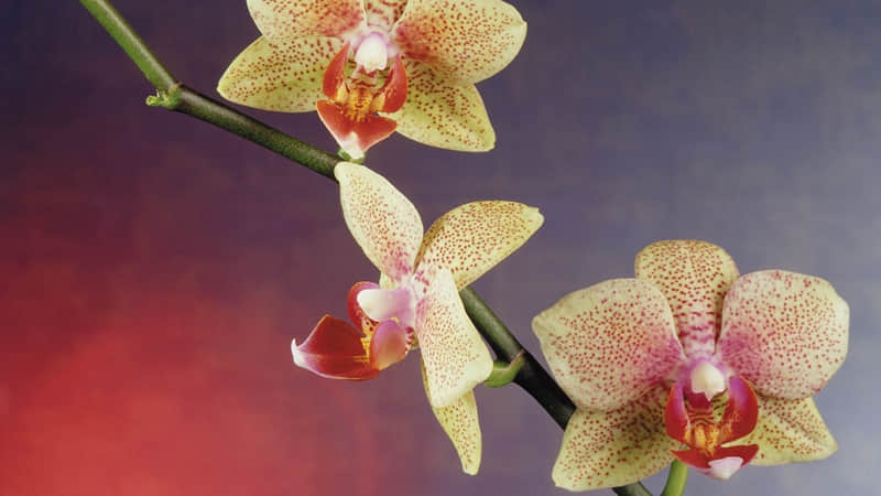 “今年立冬,朋友圈一定要这样发!”_wishdown.com “今年立冬,朋友圈一定要这样发!”_wishdown.com