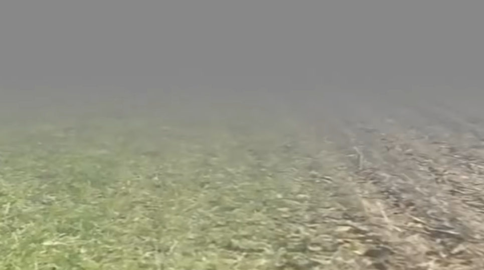 约翰的农场通关攻略_wishdown.com 约翰的农场通关攻略_wishdown.com