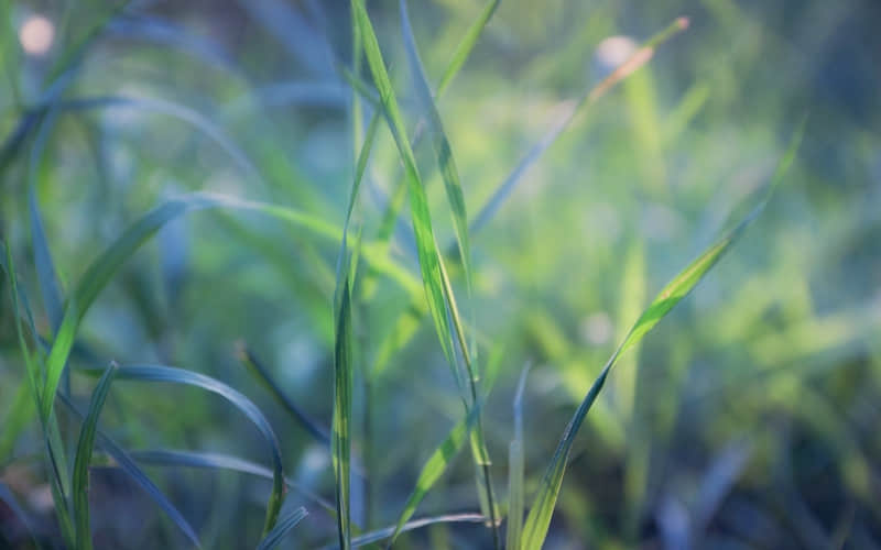 “适合早上发的,闪闪发光的句子~”_wishdown.com “适合早上发的,闪闪发光的句子~”_wishdown.com