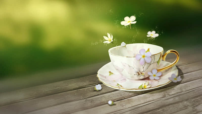 旅游时这么发,字少,精辟!_wishdown.com 旅游时这么发,字少,精辟!_wishdown.com