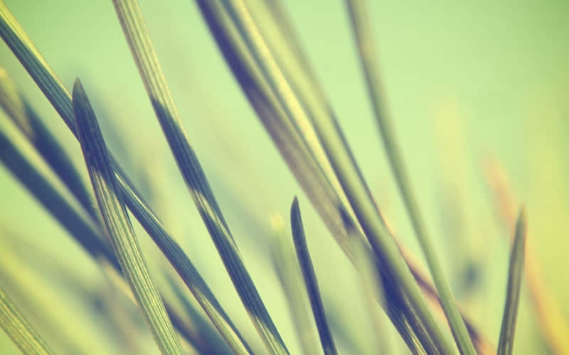 旅游时这么发,字少,精辟!_wishdown.com 旅游时这么发,字少,精辟!_wishdown.com