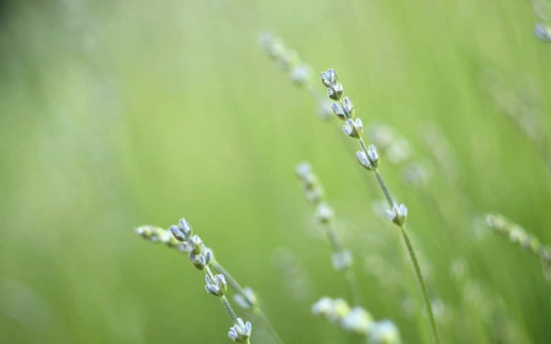 旅游时这么发,字少,精辟!_wishdown.com 旅游时这么发,字少,精辟!_wishdown.com