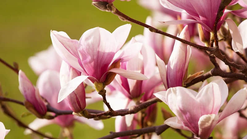 真正走得远的爱情,从来都藏着“彼此的修养”_wishdown.com 真正走得远的爱情,从来都藏着“彼此的修养”_wishdown.com