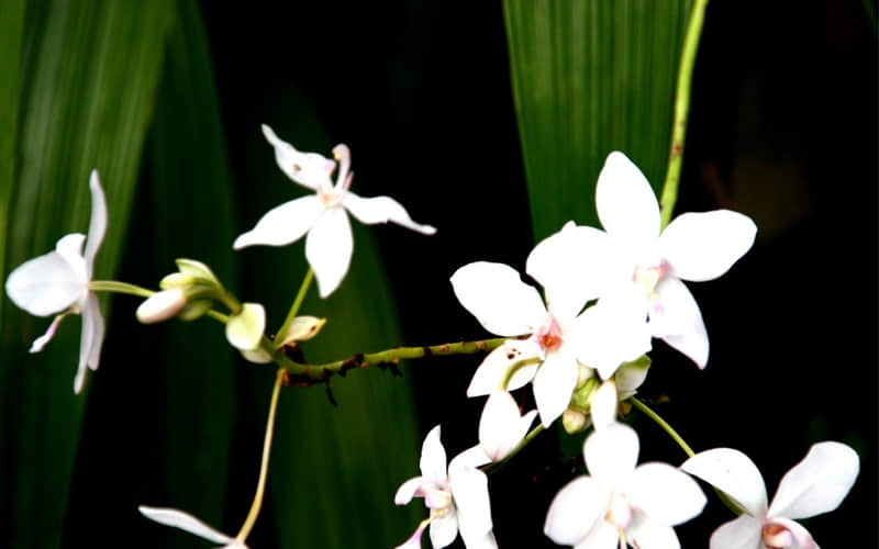 冬天朋友圈早安文案,愿你所遇皆美好,所想皆成真_wishdown.com 冬天朋友圈早安文案,愿你所遇皆美好,所想皆成真_wishdown.com