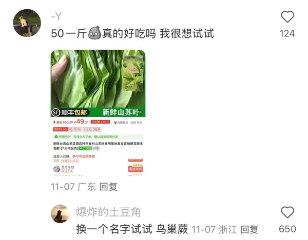超市50块钱一斤的网红菜 竟是云南人的“绿化带”!_wishdown.com 超市50块钱一斤的网红菜 竟是云南人的“绿化带”!_wishdown.com