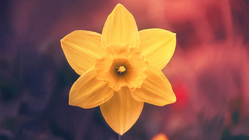 "一个女人朋友圈这么发,说明她很聪明"_wishdown.com "一个女人朋友圈这么发,说明她很聪明"_wishdown.com