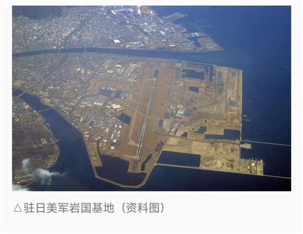 来源成迷 驻日美军基地发现大量毒蜘蛛:含剧毒黑寡妇_wishdown.com 来源成迷 驻日美军基地发现大量毒蜘蛛:含剧毒黑寡妇_wishdown.com