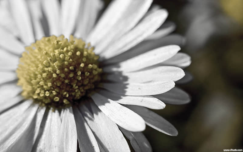 “女人会撒娇,男人魂在飘!”_wishdown.com “女人会撒娇,男人魂在飘!”_wishdown.com