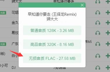 洛雪音乐助手下载不了无损音乐怎么办_wishdown.com 洛雪音乐助手下载不了无损音乐怎么办_wishdown.com