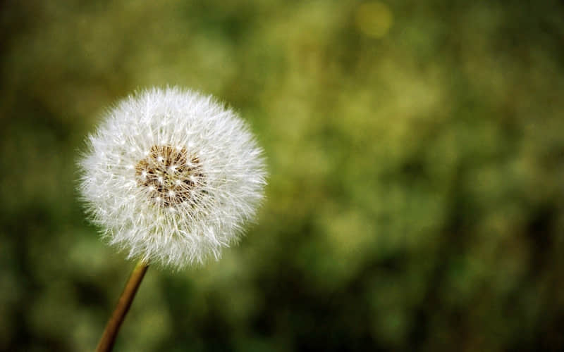 “调情几句,想你几日”_wishdown.com “调情几句,想你几日”_wishdown.com